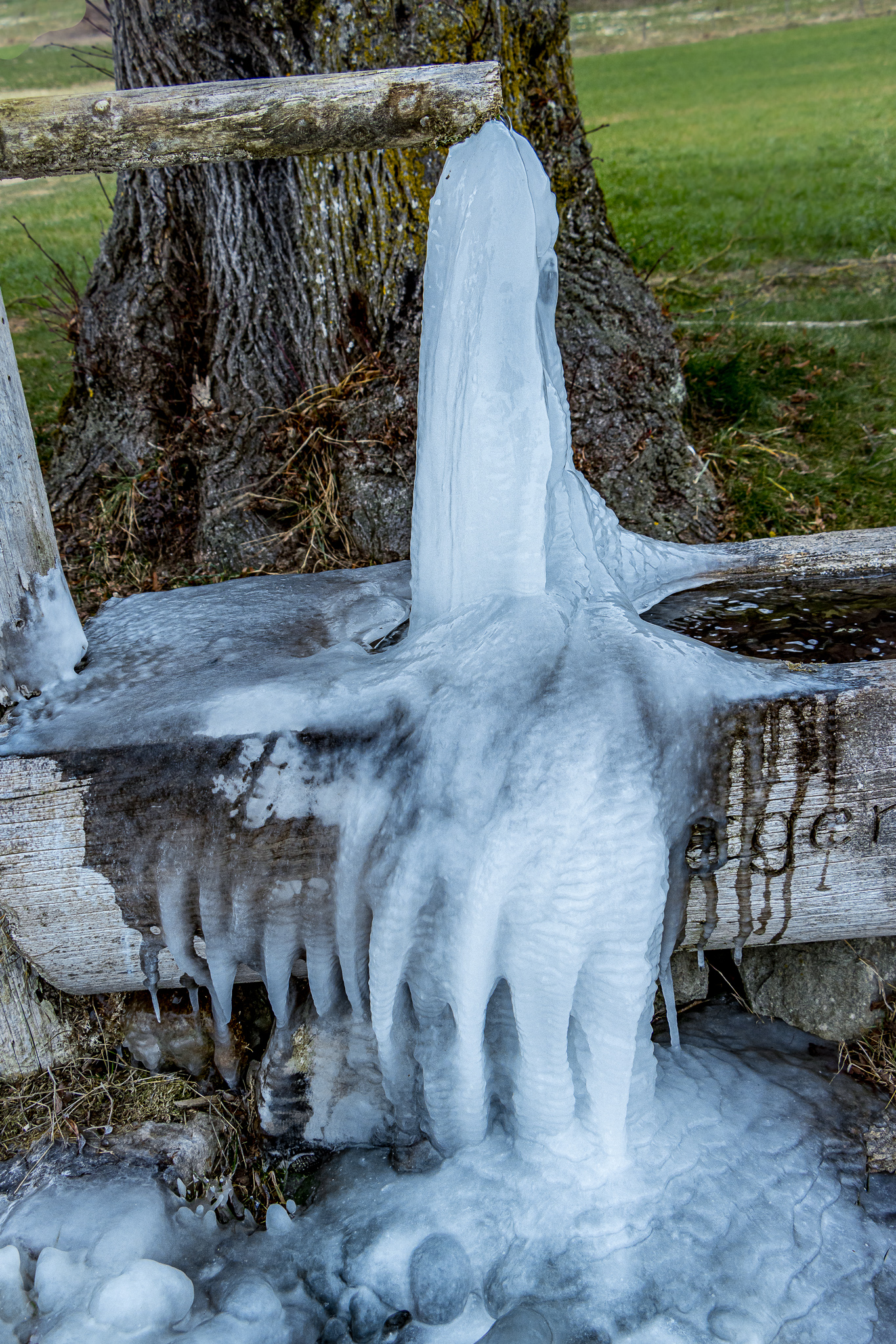 Ice Age – gefroren bei -12°C